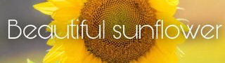 beautifulsunflower.com| Solutions for modern professionals